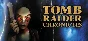 Tomb Raider V: Chronicles (Steam Key/Region Free)