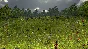 Defend the Highlands STEAM KEY REGION FREE GLOBAL ROW