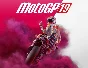 MotoGP19 (steam key)