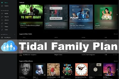 🎙🎄Tidal HIFI PLUS| Family ☃️🎙| 3 MONTH |WARRANTY💯