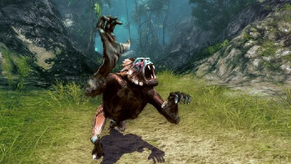Risen 2: Dark Waters  (Steam)