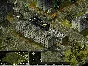 Sudden Strike 2 Gold (steam key)