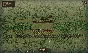 Field of Glory Empires (steam key)