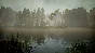 ⭐️ BIGFOOT - STEAM (Region free)