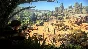 🎮Sniper Elite 3 ULTIMATE EDITION XBOX ONE / X|S 🔑Key