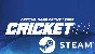 ⭐️ Cricket 19 - STEAM (Region free)