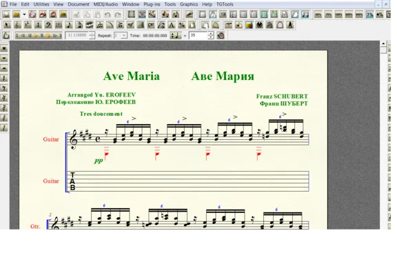 AVE MARIA by Schubert for 6-string guitar