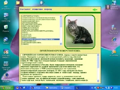 КОШКИ - электронная энциклопедия пород