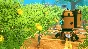⭐️ Craftopia - STEAM (Region free)