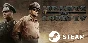 ⭐️ Hearts of Iron IV - STEAM (Region free)