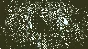 ⭐️ Return of the Obra Dinn - STEAM (Region free)