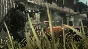 Call of Duty - Modern Warfare Remastered + 🎁