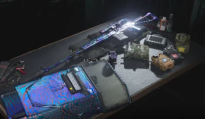 ☯️ Pumping camouflage, weapon level | COD:MW 2019