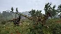 The Isle STEAM•RU ⚡️АВТОДОСТАВКА 💳0%