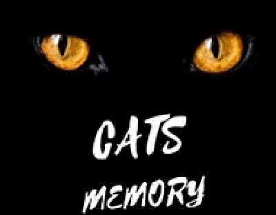 Memory from cats on guitar - notes, tabs