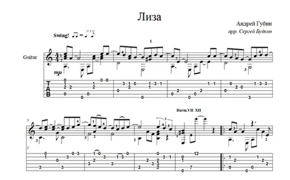 Liza (Andrey Gubin) guitar cover