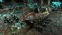 Age of Wonders 3 III Collection (Steam) RU/CIS