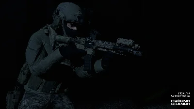 Ground Branch (Steam Gift Россия) 🔥