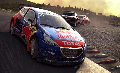 DiRT Rally (STEAM KEY/RU+CIS)