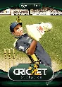 Cricket Revolution (Steam Gift Region Free / ROW)