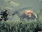 BIOMUTANT +STEAM+🔴 LIFETIME + All DLC