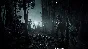 Hunt: Showdown - Gold Edition XBOX [ Game Key 🔑 Code ]