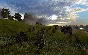 Order of War (Steam key) RU CIS