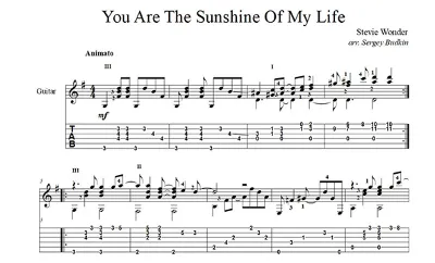 You Are The Sunshine Of My Life(Stevie Wonder) guitar