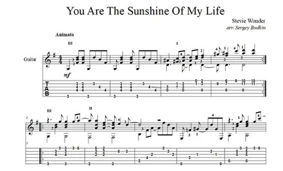 You Are The Sunshine Of My Life(Stevie Wonder) guitar