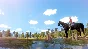 The Unicorn Princess XBOX [ Game Code 🔑 Key ]