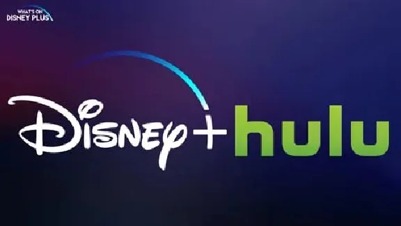 HULU Disney+