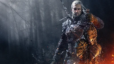THE WITCHER 3 Wild Hunt+TOP DLC ПОЖИЗНЕННАЯ ГАРАНТИЯ🔒