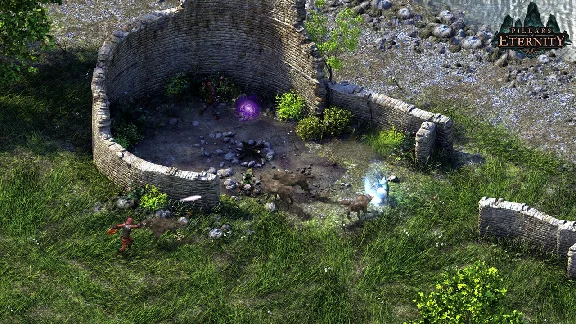 Pillars of Eternity Definitive Edition STEAM KEY RU/CIS