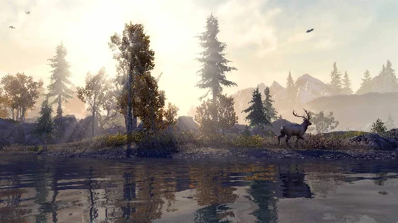 🌍 The Elder Scrolls Online XBOX ONE / X|S / KEY 🔑