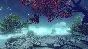 Soulpath: the final journey STEAM KEY REGION FREE