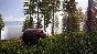 Hunting Simulator 2 Bear Hunter Edition Xbox Series X|S