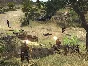 Men of War: Collector´s Pack🔑STEAM KEY✔️GLOBAL