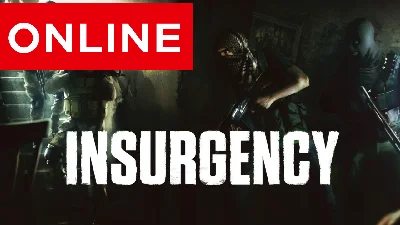 ⭐️ Insurgency - STEAM ONLINE (Region Free)