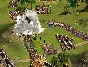 Cossacks 2: Napoleonic Wars STEAM KEY GLOBAL NOT RU/BY