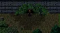 For Evelyn STEAM KEY REGION FREE GLOBAL ROW