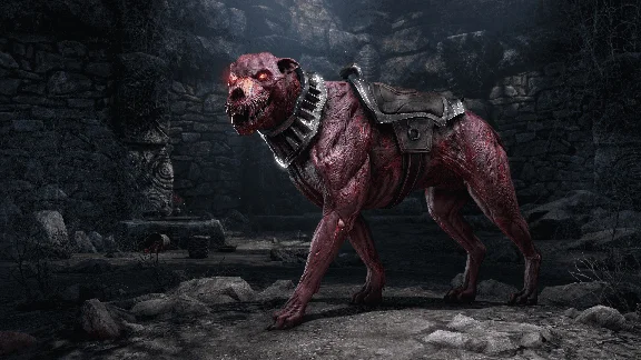 TESO: Greymoor Collector´s Upgrade (Steam key) -- RU