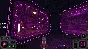 Viscerafest (steam key)