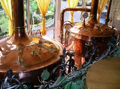Malt, beer and alcohol production