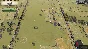 Field of Glory II Medieval Reconquista (steam)