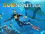 Subnautica (steam key)