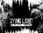Dying Light Definitive Platinum Edition steam key