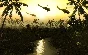 Men of War Vietnam Special Edition Upgrade steam