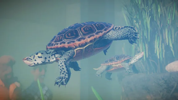 Planet Zoo Aquatic Pack (steam key) -- RU
