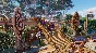 Planet Zoo Australia Pack (steam key) -- RU