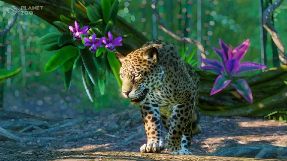 Planet Zoo South America Pack (steam key) -- RU